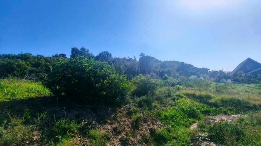 Commercial Property for Sale in Sandhoogte Western Cape